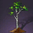 эбеновое дерево archeage